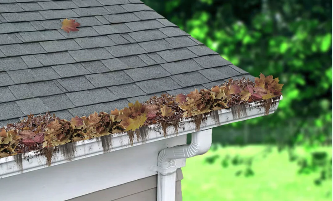 Dirty gutters to show the importance of gutter cleaning